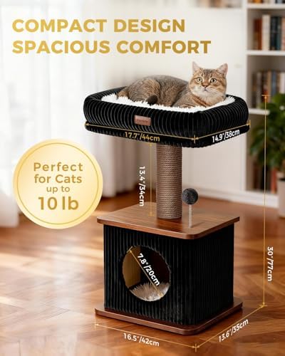 Modern Cat Tree for Indoor Cats with Scratching Posts