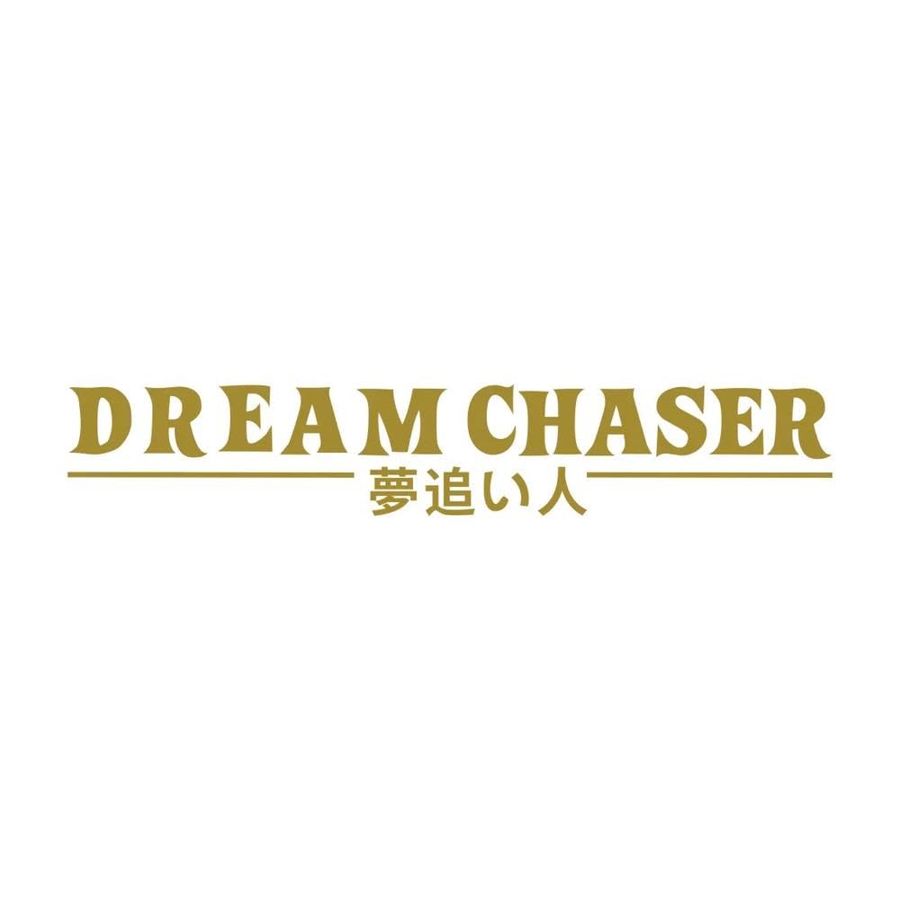 Auto Accessory Dream Chaser Car Rear Windshield Sticker Vinyl Decal Automobile Accessories(Gold)