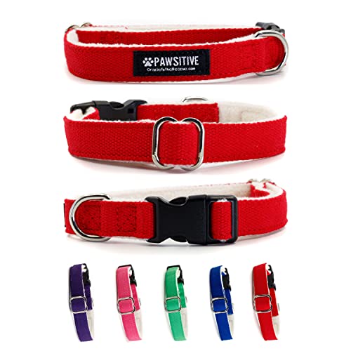 Pawsitive Hemp Dog Collar - Solid