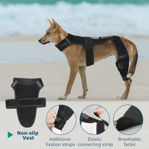 Image of Dog Knee Brace with Vest, Support Dog Acl Brace Hind Leg Torn, Adjustable Dog Rear Leg Braces for Cruciate Ligament Injury, Joint Pain Relief and Arthritis (Double, 4)