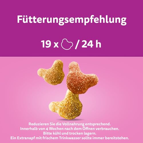 WHISKAS Crunch Katzensnacks Huhn, Pute & Ente 6 x 100g – Leckere Snacks mit Huhn, Pute und Ente