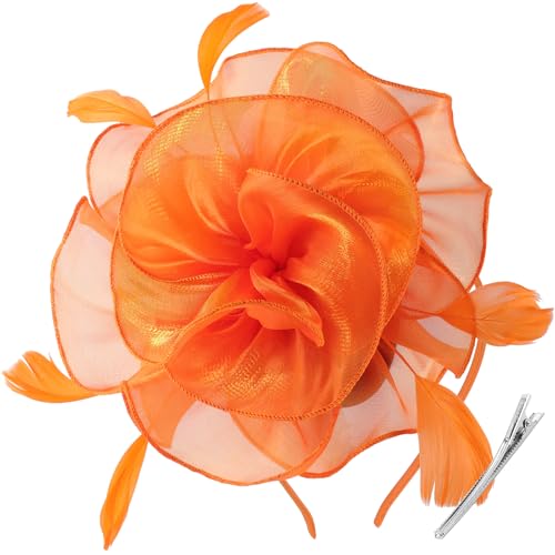 Image of DRESHOW Fascinators Hat Tea Party Headwear Ribbons Feathers on a Headband and a Clip for Women