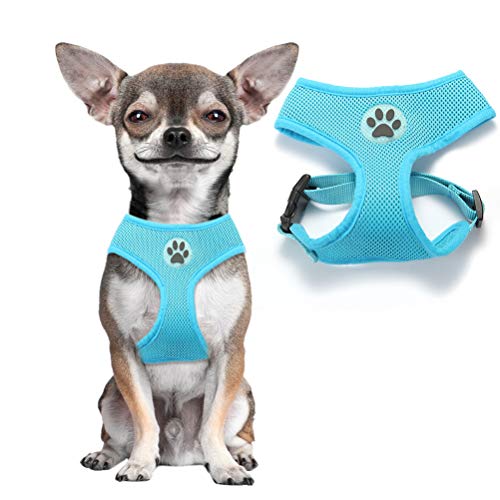 BINGPET Soft Mesh Dog Harness Pet Walking Vest Puppy Padded Harnesses Adjustable, Blue Extra Small
