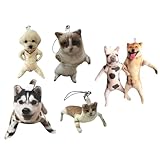 SodaMeow Custom Pet Pillow Keychain Ugly Adjustable Pose 3D Keychain Funny Charm for Dog and Cat Lovers (A)