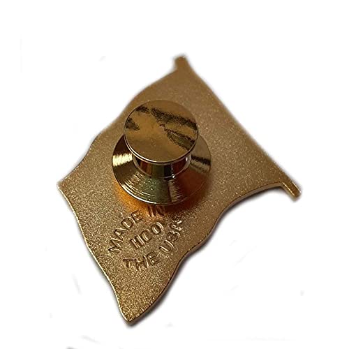Patriotic Pins Waving American Flag Hat & Lapel Pin - Single Pin | Made In The Usa | 7/8" X 7/8" | Brass Gold Plate | Red, White And Blue Enamel Stripes | Travel Pouch & Gift Box Included #TOP5