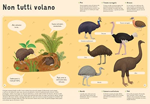 Enciclopedia Degli Uccelli Per Piccoli Lettori. Nuova Ediz. - 4