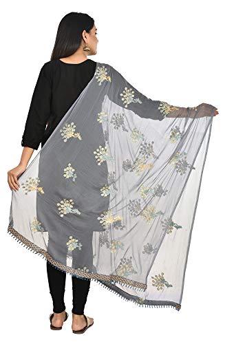 Image of YOUTHQUAKE Heavy Embroidered Work Chiffon Dupatta for Womens & Girls With Fancy Lace