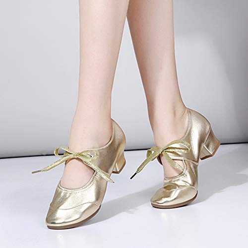 HIPPOSEUS Women's Latin Dance Practice Shoes Split Sole Ballroom Dance Training Shoes,Model 2153