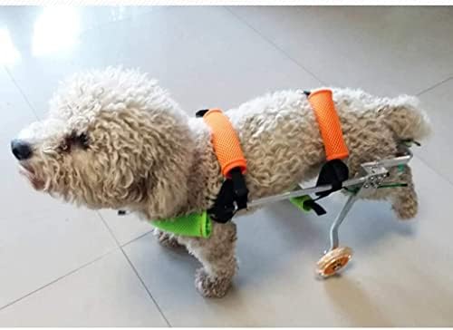 Dog Wheelchair for Back Legs - Adjustable Pet Mobility Aid with Wheels for Dogs & Cats - Support Frame for Joint Health & Exercise - Best Friend Mobility Solution