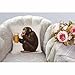 HGOD DESIGNS Gorilla Pillow Cover,Decorative Throw Pillow Monkey Sitting and Thoughtful Look A Glass of Beer Pillow Cases Cotton Linen Square Cushion Covers for Home Sofa Couch 18x18 inch Brown