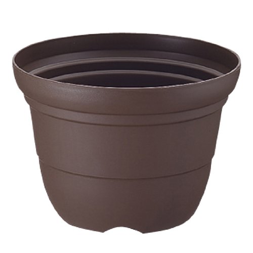 b`F J[oG ֔ 12 R[q[uE