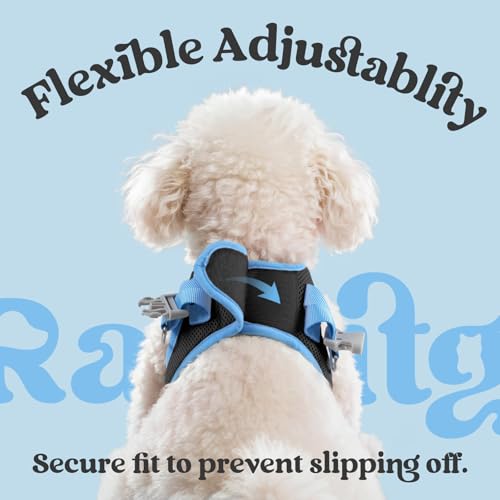 rabbitgoo Step-In Harness & Leash Set (Black & Light Blue, Small) — view 6