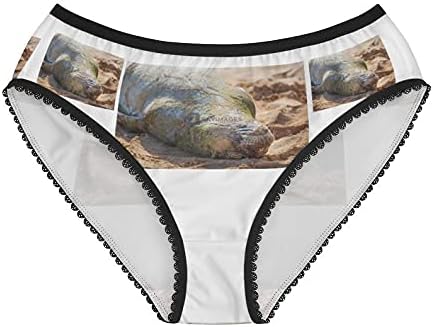 Hawaiian Monk Seal Panties, Hawaiian Monk Seal Underwear, Briefs, Cotton Briefs, Funny Underwear, Panties For Women