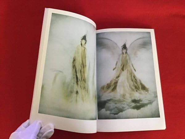 Amazon.co.jp: 〇江角マキコ写真集 E-MODE : おもちゃ