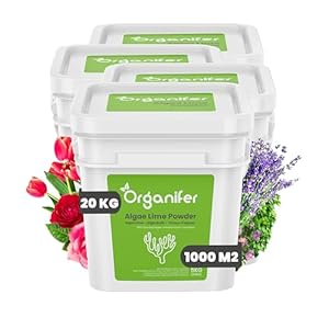 Organifer Algae Lime Powder 10 Kg
