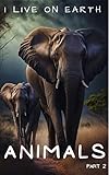 snow patrol life on earth album  I Live on Earth - Animals: Part 2 (English Edition)