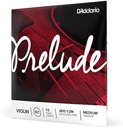 D'Addario J810 4/4L Prelude 4/4 skala lekkie napięcie zestaw skrzypiec skrzypiec