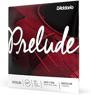 D'Addario J810 4/4L Prelude 4/4 skala lekkie napięcie zestaw skrzypiec skrzypiec