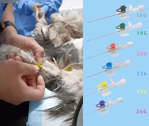 Moduzila Animal IV Catheter Needles for Veterinary, Sterile Pet Catheter Needles with Filling Valve for Dog Cat Small Animals, 10pcs 20G Pink - Thumbnail 7