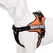 Chai's Choice Service Dog Vest Harness Best Truelove Model with 2 Reflective Service Dog Patches and Sturdy Handle. Matching Padded 3M Reflective Leash Available (X-Small, Orange)