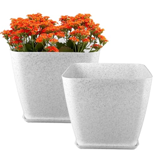 GARDENS NEED Indoor and Outdoor White Four Square Flower Pot with Tray 8 Inch(20.32 cm)|Set of 2 Plastic Planter|Best Use for Office/Balcony/Terrace/Garden Decoration