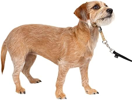 PetSafe Gentle Leader No-Pull Dog Headcollar - The Ultimate Solution to Pulling - Redirects Your Dog's Pulling For Easier Walks - Helps You Regain Control - Small, Fawn