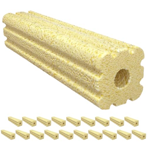 PLEAVIT ߍ  p  ^ E  oNeA ׋۔|{ W C (im^Cv  20{)