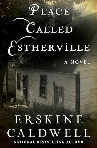 Place Called Estherville: A Novel