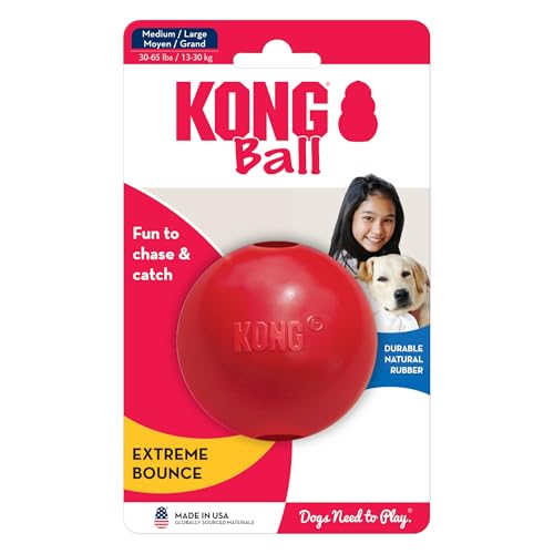 KONG Ball mit Loch - Hundespielzeug zum Apportieren - Klassischer Gummiball für Training und Spiel - Für Große/Mittelgroße Hunde - Rot