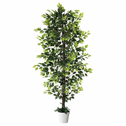 tFCNO[ xW~O[ 210cm 1 y ϗtA tFCNO[ lHϗtA lH ^ XgAEGLXvX z 61-754-95-1_8724-4730