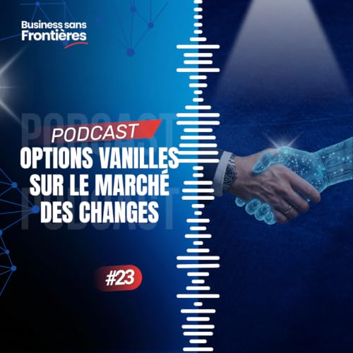 Options vanilles sur le march&eacute; des changes : call, put et gestion du risque de change