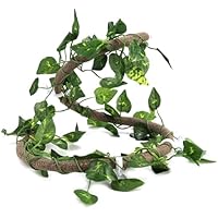 Reptiles no tóxicos Rattan Vine Amphibian Climbing Industry,