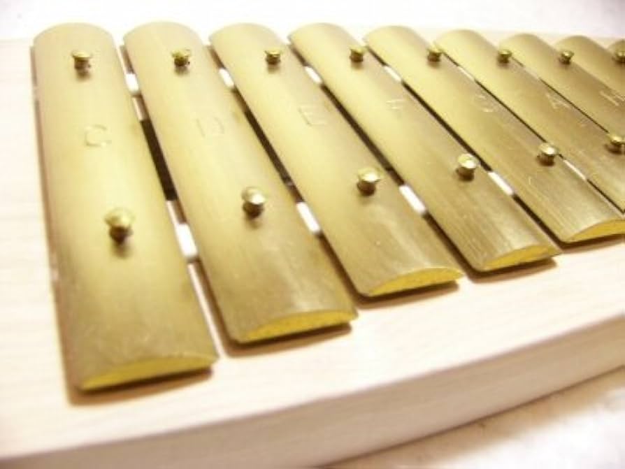 Amazon | アウリス シェルズグロッケン ダイヤトニック12音鉄琴 楽器