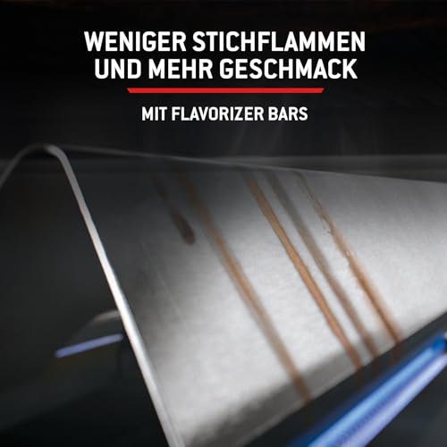 Weber Spirit E-210 Gasgrill, 2 Brenner, 51 x 46 cm Grillfläche, Warmhalterost, Deckelthermometer, 2 Räder - Schwarz/Silber (1500833)