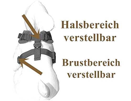 Hundegeschirr Französische Bulldogge Brustgeschirr Softgeschirr French Bully weich gepolstert verstellbar Camouflage schwarz-grau Mesh