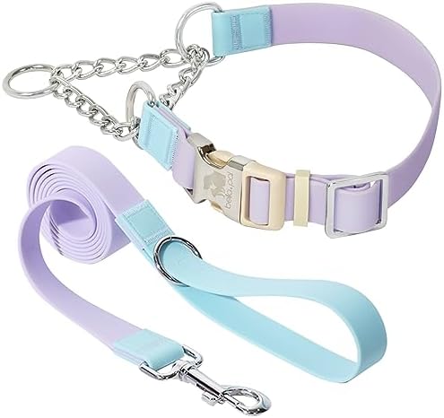 BELLA & PAL Adjustable Dog Collar, Martingale Dog Collar with Quick Release Buckle, Stainless Steel Chain, Waterproof Collar for Dogs, Dog Collar for Small Medium Large Dogs, M:35cm-45cm