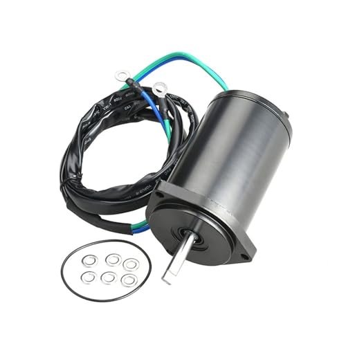 Moteur de trim résistant à la corrosion pour hors-bord 4 temps 40-100CV