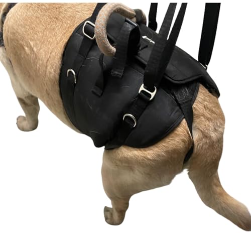 Image of Mobility Support Harness for Dogs - Loki MSHAR-Loki-XL | Adjustable Lift Harness with Pee Opening, No Removal Needed, Full Body Support, Padded Sling for Large & Heavy Dogs