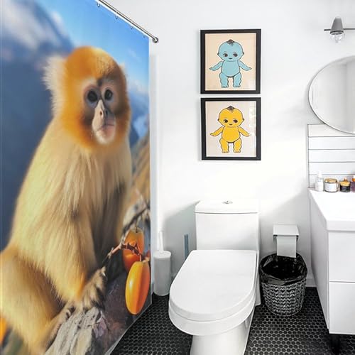 Rideau de douche singe en polyester 152x183 cm avec 12 crochets - 3
