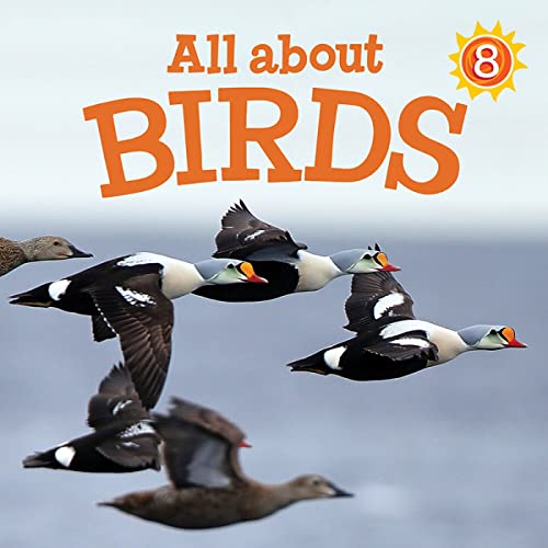 All about Birds: English Edition (Nunavummi Reading Series)