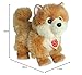 Teddy Hermann 91922 Hund Zwergspitz 22 cm, Kuscheltier, Plüschtier mit recycelter Füllung