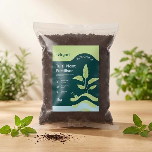 Image of Kyari Tulsi Fertilizer 100% Organic - Natural Growth Booster for Tulsi Plant, Holy Basil, Home Garden, Balcony Pots - Plant Food for Lush Green Leaves - 100% Natural for Plant Parents