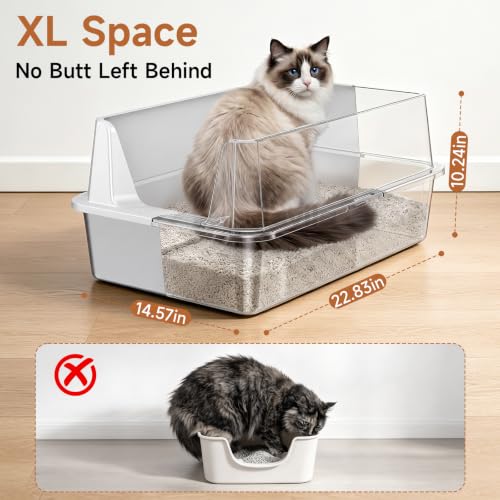 Best box with step and scoop product option for indoor cat supplies
