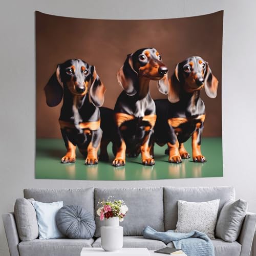 Couverture canapé tapisserie murale Teckel 152x130 pour masquer les murs