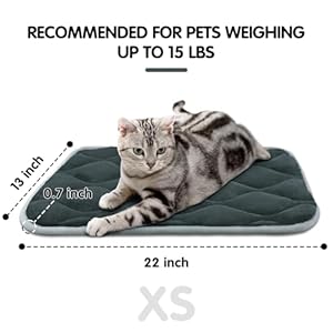 furrybaby Dog Bed Mat Flat Crate Mat with Anti-Slip Bottom Machine Washable Pet Kennel Pad for Dog Sleeping (XS 22×13”, Grey Mat)