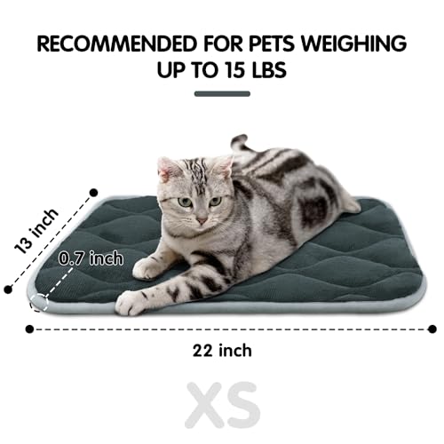 furrybaby Dog Bed Mat Flat Crate Mat with Anti-Slip Bottom Machine Washable Pet Kennel Pad for Dog Sleeping (XS 22×13”, Grey Mat) furrybaby Dog Bed Mat Flat Crate Mat with Anti-Slip Bottom Machine Washable Pet Kennel Pad for Dog Sleeping (XS 22×13”, Grey Mat)