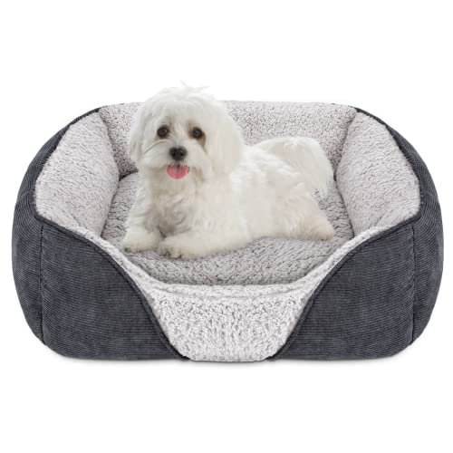 Siooko Small Dog Beds For Small Dogs Machine Washable Rectangle Puppy Bed With Anti-Slip Bottom, Soft Sleeping Pet Bed Durable (20'', Grey) #TOP27