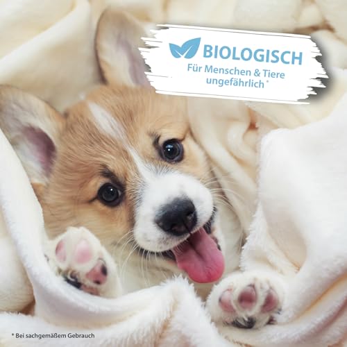 Enzymreiniger Hundeurin 750 ml – extrem stark gegen Hundepipi, Uringeruch und Flecken – biologisch, tierfreundlich, geruchsneutral – für Sofa, Teppich, Textilien, Auto, Hundebett & Boden – PIPI-Weg