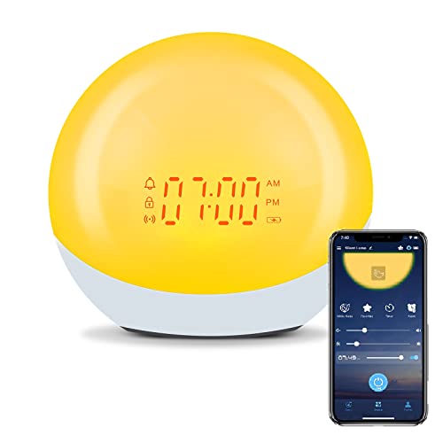 Top 10 Sunrise Alarm Clock App of 2022 Katynel