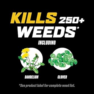 Ortho WeedClear Weed Killer for Lawns Ready-to-Spray, Kills Dandelion and Clover, 32 fl. oz., 2-Pack